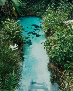  Fervedouro Bela Vista, turistlerin Jalapao, Tocantins bölgesinde yüzebildikleri kumdan filizlenen kristal su kaynaklarından biridir.