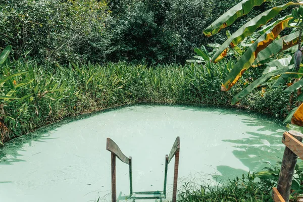  Fervedouro Bela Vista, turistlerin Jalapao, Tocantins bölgesinde yüzebildikleri kumdan filizlenen kristal su kaynaklarından biridir.
