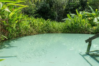 Tocantins Brezilya 'daki Jalapao Eyalet Parkı - Cachoeira da Formiga.