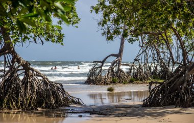 Barra Velha Plajı, Brezilya
