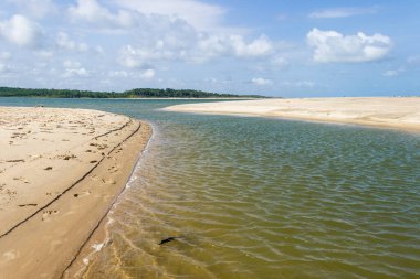 Marajo Adası sahili manzarası 