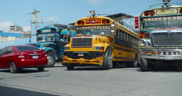 Drie Blauw Geel Groen Stationaire Kippenbussen met lokaal verkeer langs rijdend — Stockvideo