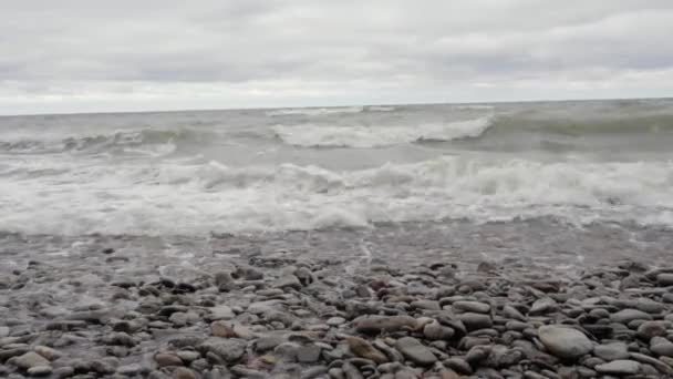 Waves White Foam Spray Beat Multi Colored Pebbles — Stock Video