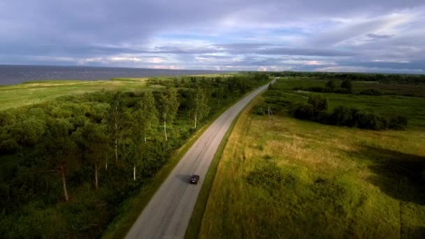 海を背景にした孤独な車の空中風景曇りの晴れた日に夏にはアスファルトの道路に緑の森を通り — ストック動画