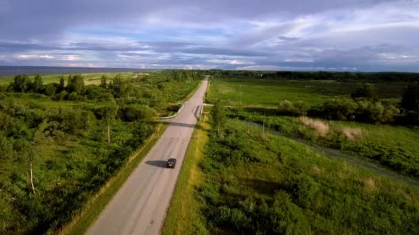 海を背景にした孤独な車の空中風景曇りの晴れた日に夏にはアスファルトの道路に緑の森を通り — ストック動画