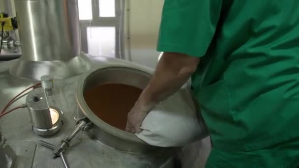 Cervejeiro Roupas Verdes Acrescenta Ingredientes Tanque Onde Cerveja Fermenta Misturando — Vídeo de Stock