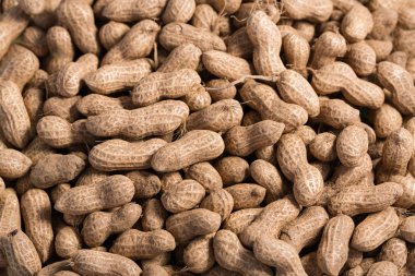 Birçok Fıstık kabukları kullanılan arka planı için 