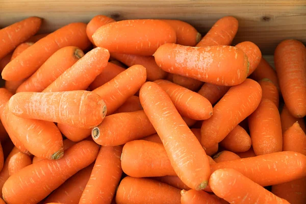 Cenouras orgânicas frescas — Fotografia de Stock