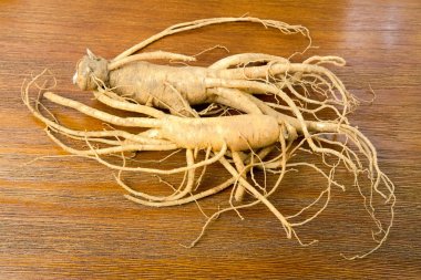 taze Kore ginseng