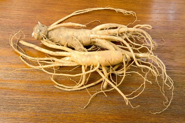 Koreanischer frischer Ginseng — Stockfoto