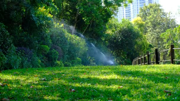 Irrigatie systeem water op een groen grasveld — Stockvideo
