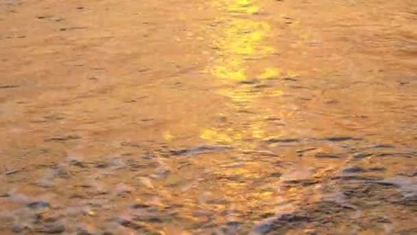 Поверхность воды золотого цвета и мокрый песок на берегу моря — стоковое видео