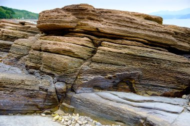 Tortul kaya..... Tung Ping Chau, Hong Kong Geopark katmanları