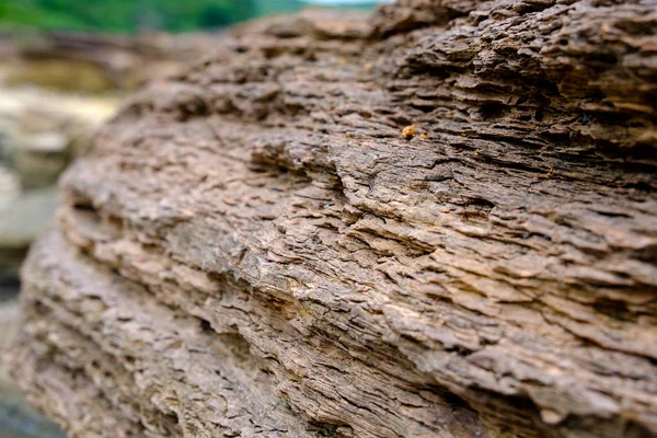 Capas de geoparque de roca sedimentaria, en Tung Ping Chau, Hong Kong — Foto de Stock