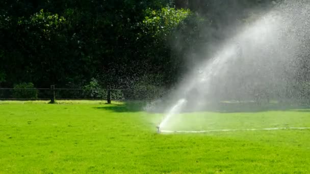 System Bevattning Ett Grönt Gräs Fält — Stockvideo