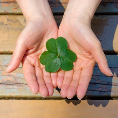 Dört yapraklı yonca tutan el