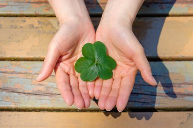 Dört yapraklı yonca tutan el