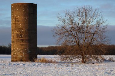 Terk Edilmiş Beton Silo, kış boyunca bir tarlanın ortasında.