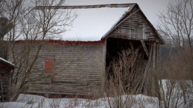Ağaçlarla büyümüş ve Wisconsin 'de karla kaplı terk edilmiş eski bir çiftlik binası.