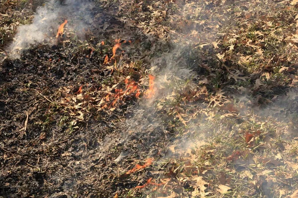 Küçük açık hava yangını hızla kontrolden çıkıyor..