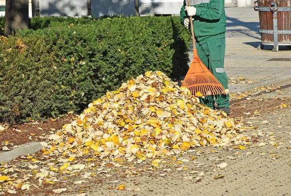 Trabajos de limpieza en otoño — Foto de Stock