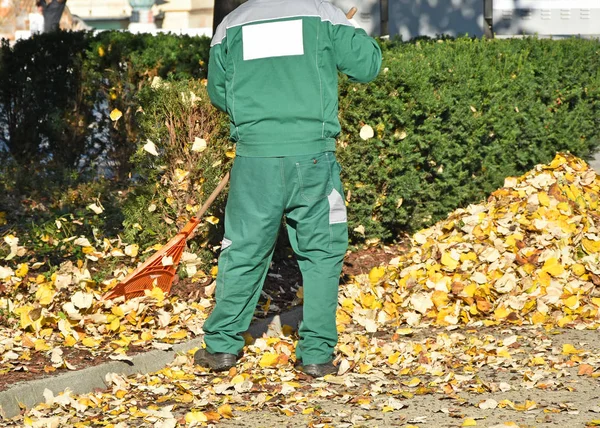 Street cleaner works in autumn — Stock Photo, Image