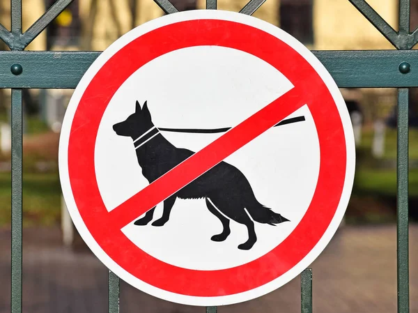Inga hundar tillåtna tecken på metall staket av parken — Stockfoto