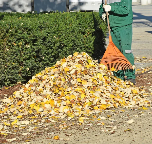 Street cleaner works in autumn