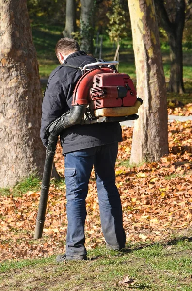El hombre está limpiando hojas en el bosque — Foto de Stock