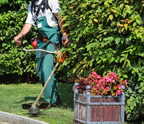 Man klipper gräset i parken — Stockfoto