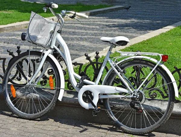 Bicycle with shopping basket — Stock Photo, Image