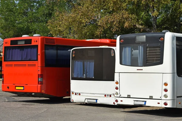 Автобусы на автовокзале — стоковое фото