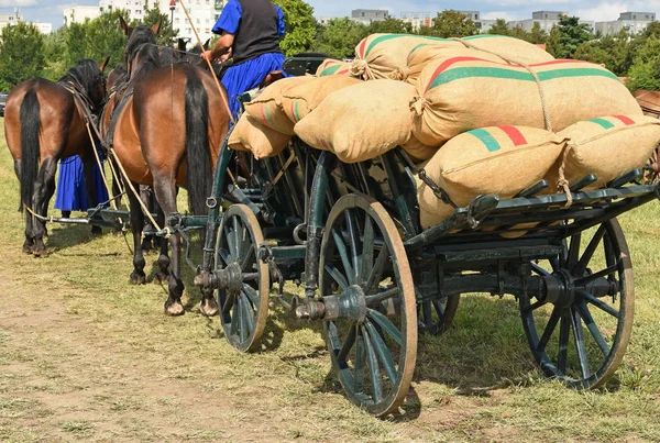 Transporte puxado a cavalo — Fotografia de Stock