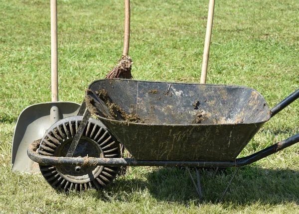 Skottkärra och spade för rengöring gödsel — Stockfoto