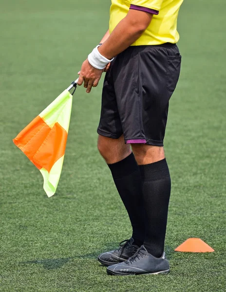 Soccer referees before match