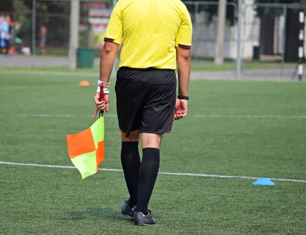 Soccer referees before match