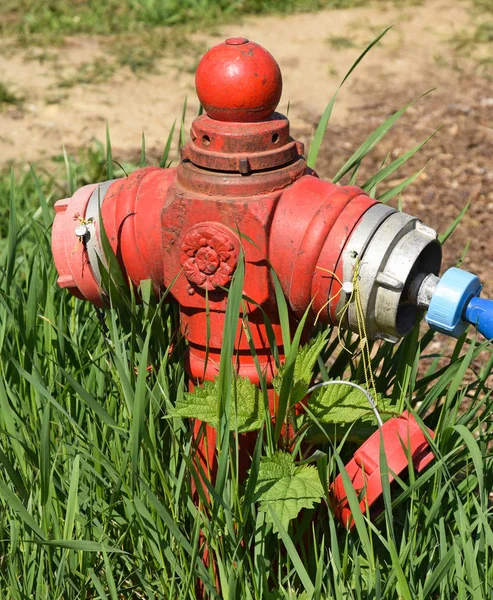 Oude brandkraan in het park — Stockfoto