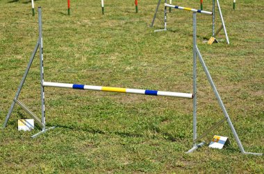 Köpek çeviklik yarışma engel kapıları