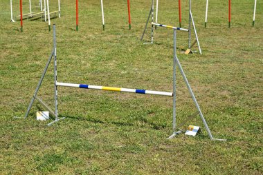 Köpek çeviklik yarışma engel kapıları