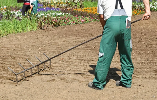 Κηπουρός συνεργάζεται με μια μεγάλη τσουγκράνα — Φωτογραφία Αρχείου