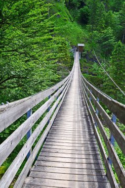 Asma köprü, Wasserlochklamm, Avusturya