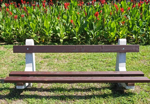 Bench in the park with flowers — Stock Photo, Image