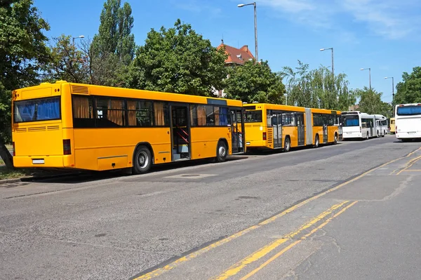 Bussar på terminalen — Stockfoto