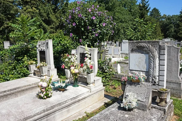 Tumbas en el cementerio público —  Fotos de Stock