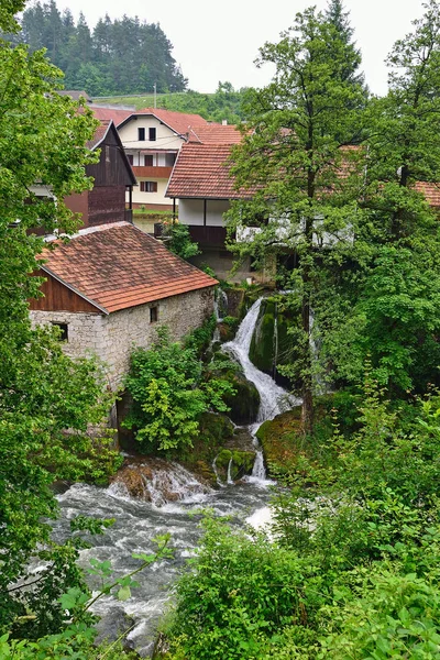 Plitvice şelale Gölü Hırvatistan