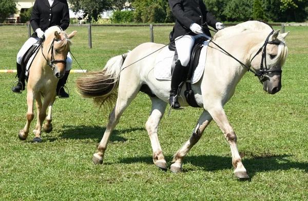 Duas mulheres andam a cavalo no prado. — Fotografia de Stock