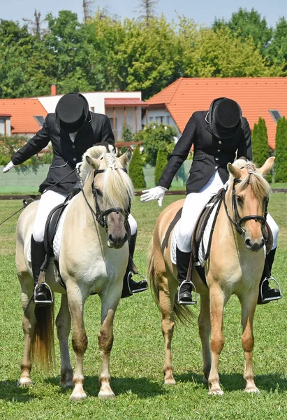 Жінки катаються на конях на лузі — стокове фото