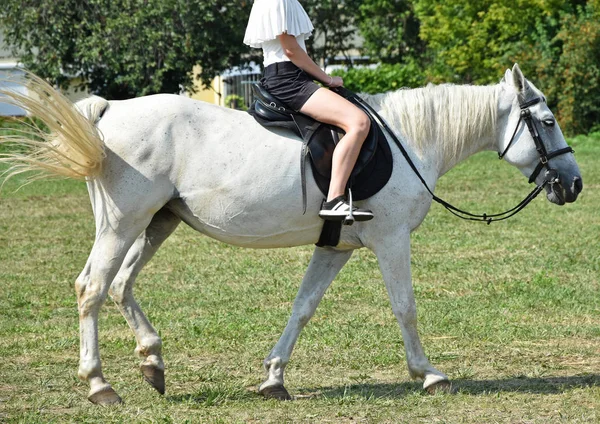 Joven chica manguera cabalgando en el prado —  Fotos de Stock