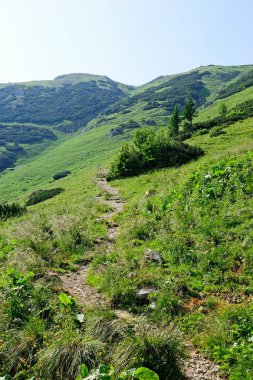 Turist yolu dağ, Veitsch, Avusturya