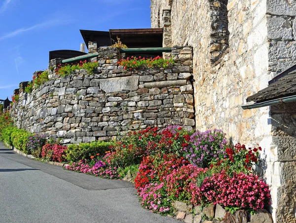 Τοίχο και λουλούδια στο Landskron της Αυστρίας — Φωτογραφία Αρχείου